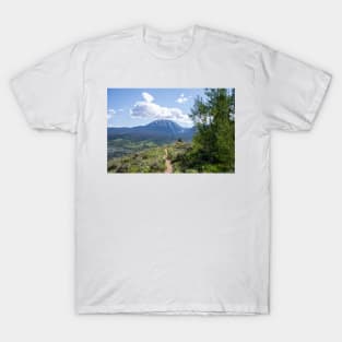 Buffalo Mountain from Hiking Trail T-Shirt